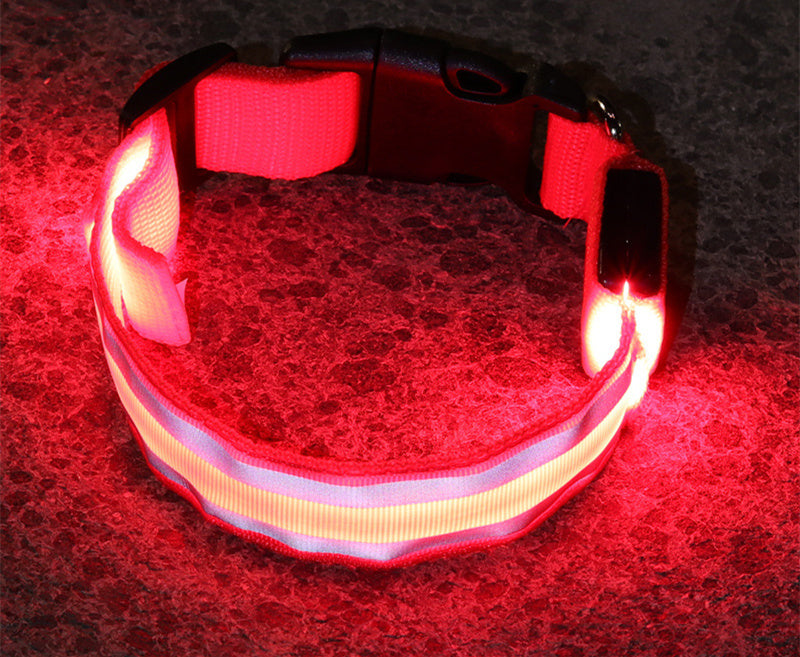 Anti-lost LED Luminous Collar - Top Shoppz