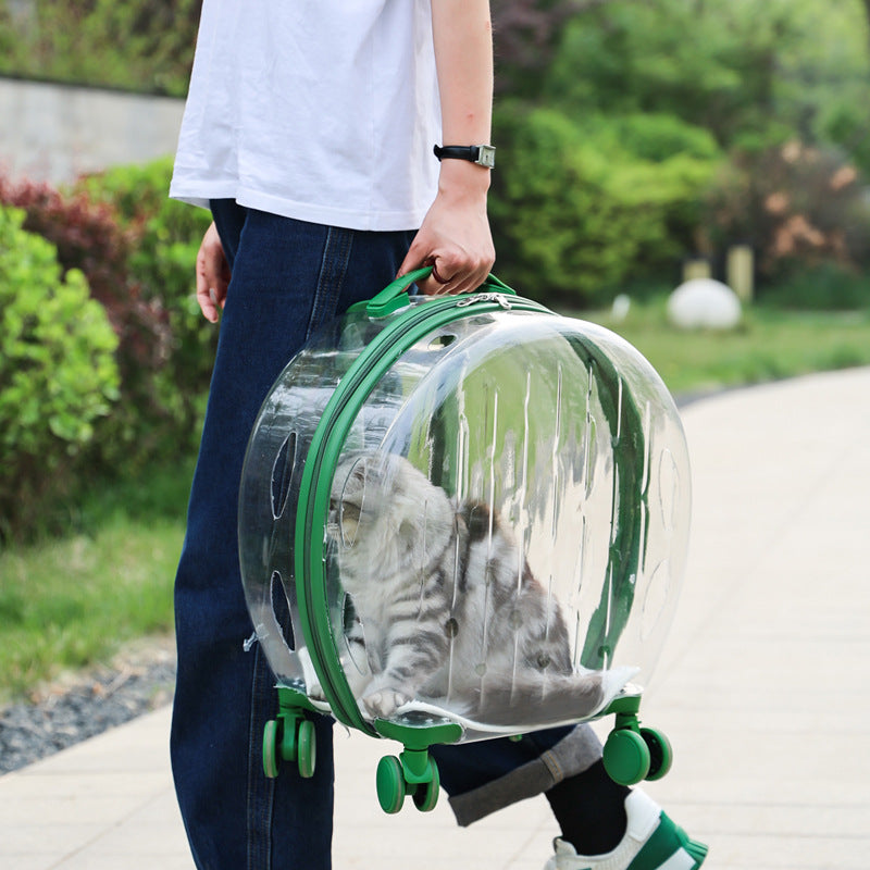 Portable Transparent Trolley Case - Top Shoppz