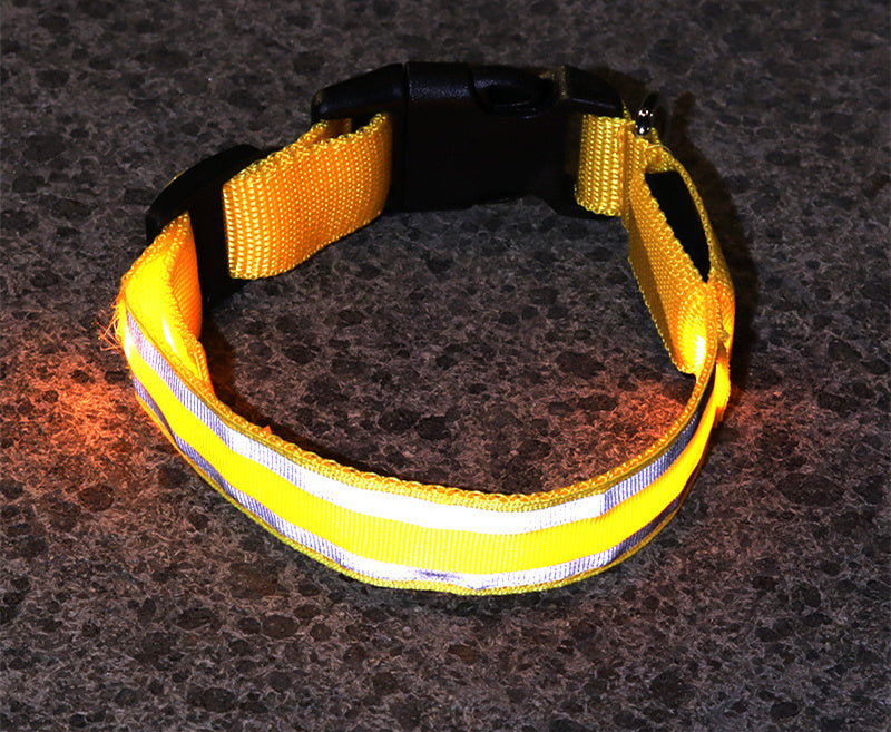 Anti-lost LED Luminous Collar - Top Shoppz