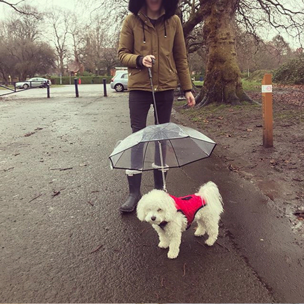 Transparent Pet Umbrella - Top Shoppz