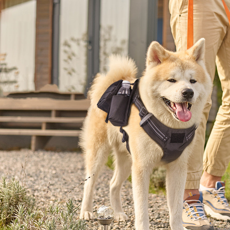 Pet Walking Dog Leash - Top Shoppz