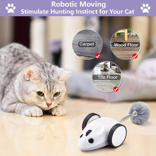 Household Electric Mouse Cat Toys - Top Shoppz