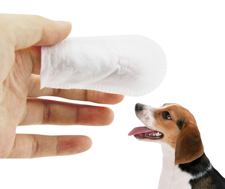 Pet Wipes - Top Shoppz