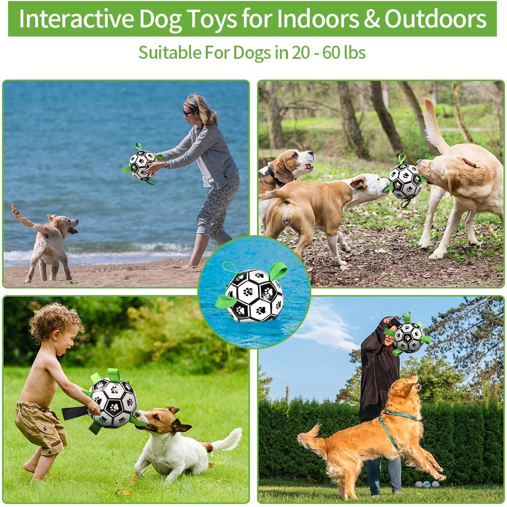 Dog Interactive Football Toys - Top Shoppz