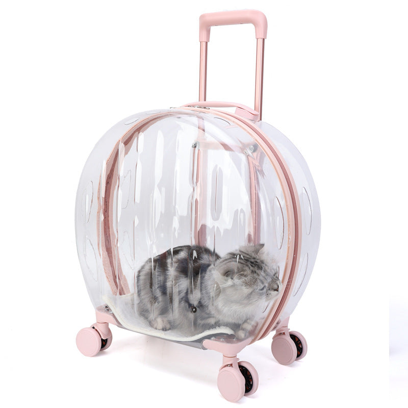 Portable Transparent Trolley Case - Top Shoppz