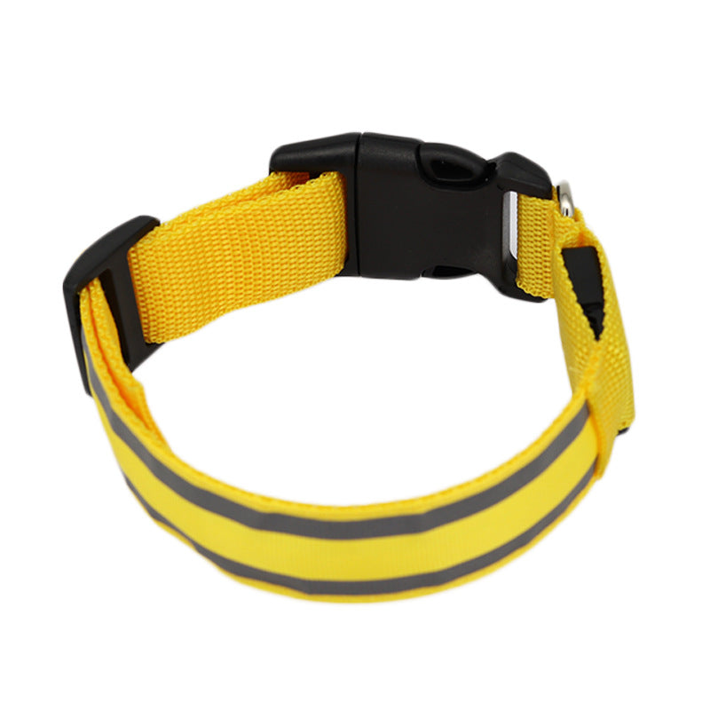 Anti-lost LED Luminous Collar - Top Shoppz