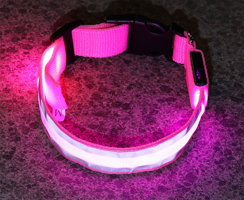 Anti-lost LED Luminous Collar - Top Shoppz