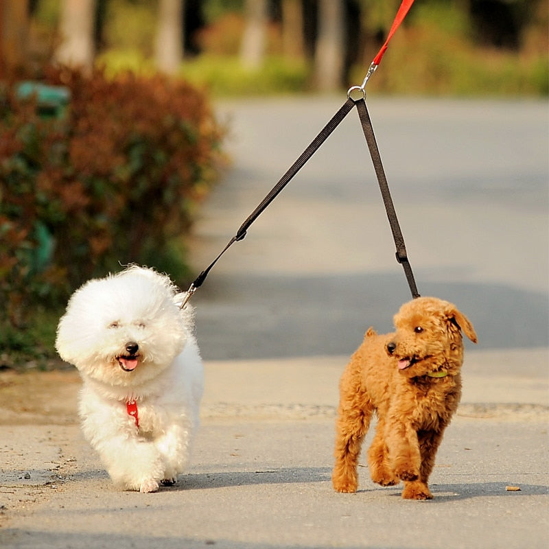 Double Twin Lead Walking Leash - Top Shoppz