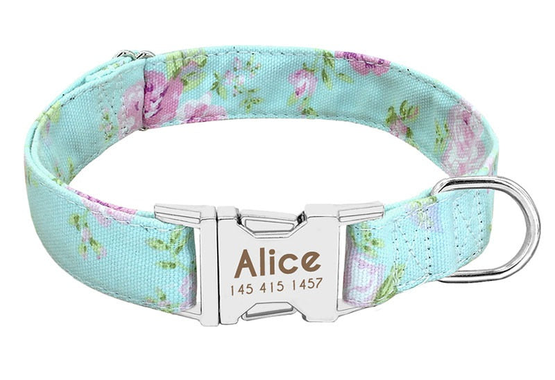 Pet Glow At Night Collars - Top Shoppz