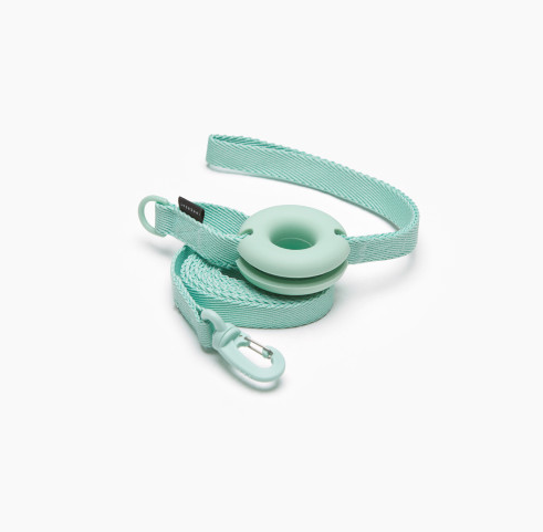 Pet Macaron Ins Wind Leash - Top Shoppz