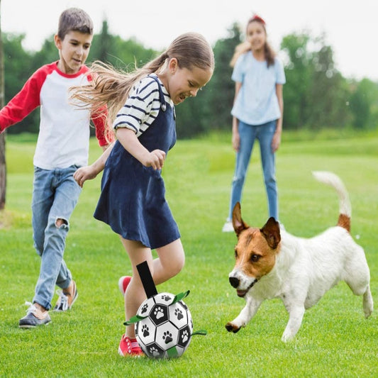 Dog Interactive Football Toys - Top Shoppz