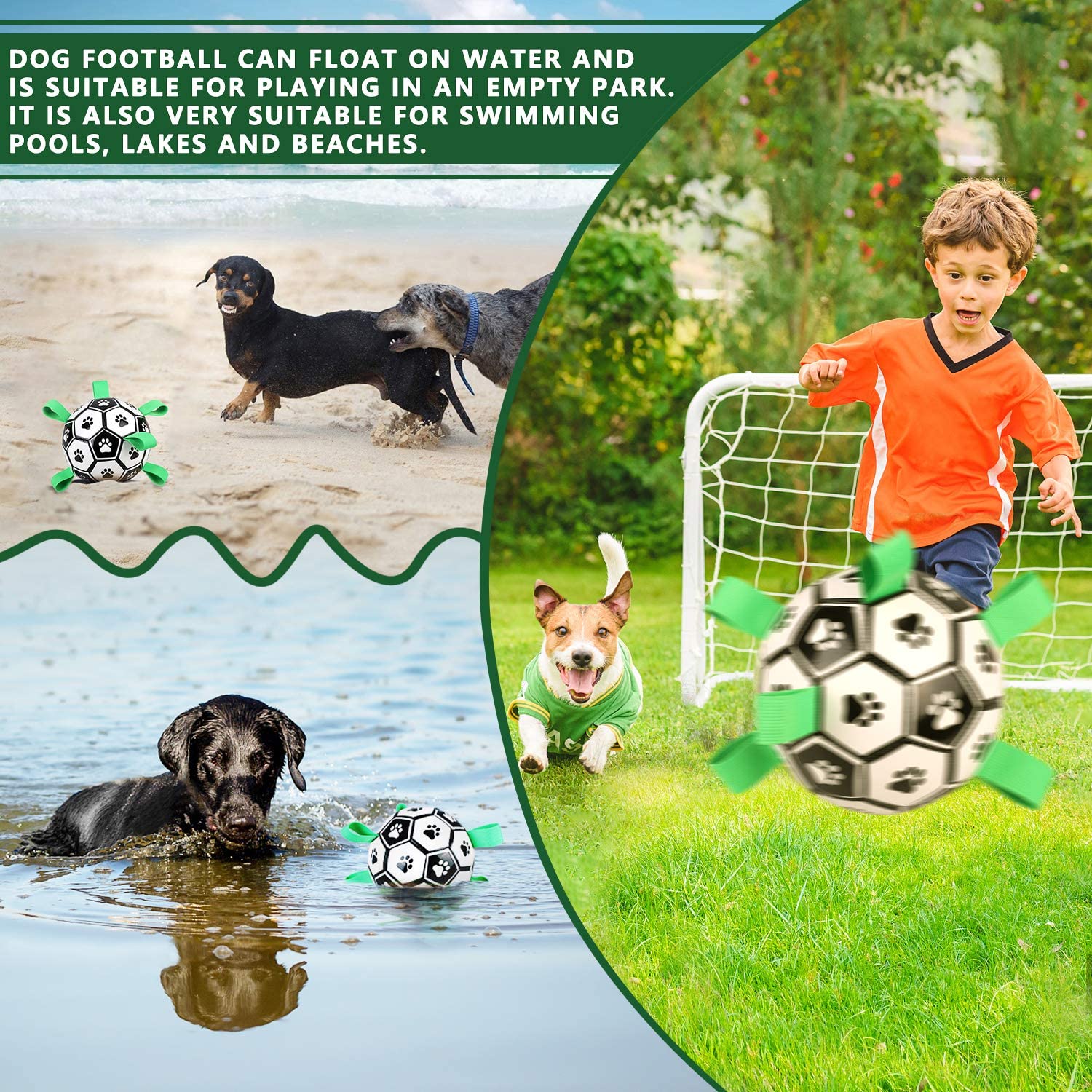 Dog Interactive Football Toys - Top Shoppz