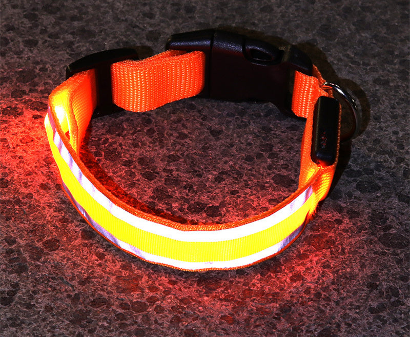 Anti-lost LED Luminous Collar - Top Shoppz