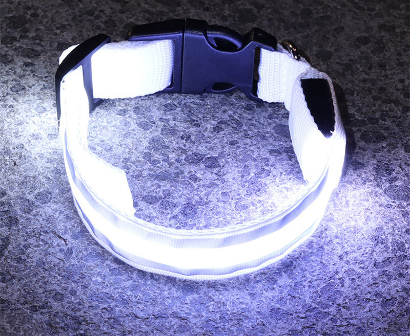 Anti-lost LED Luminous Collar - Top Shoppz