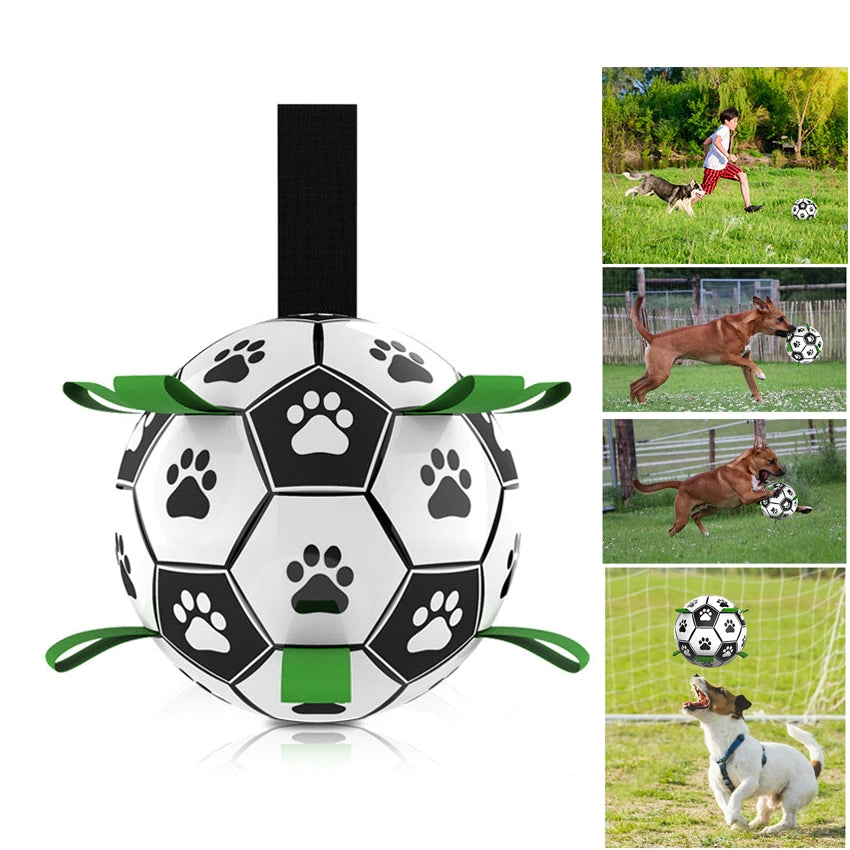 Dog Interactive Football Toys - Top Shoppz