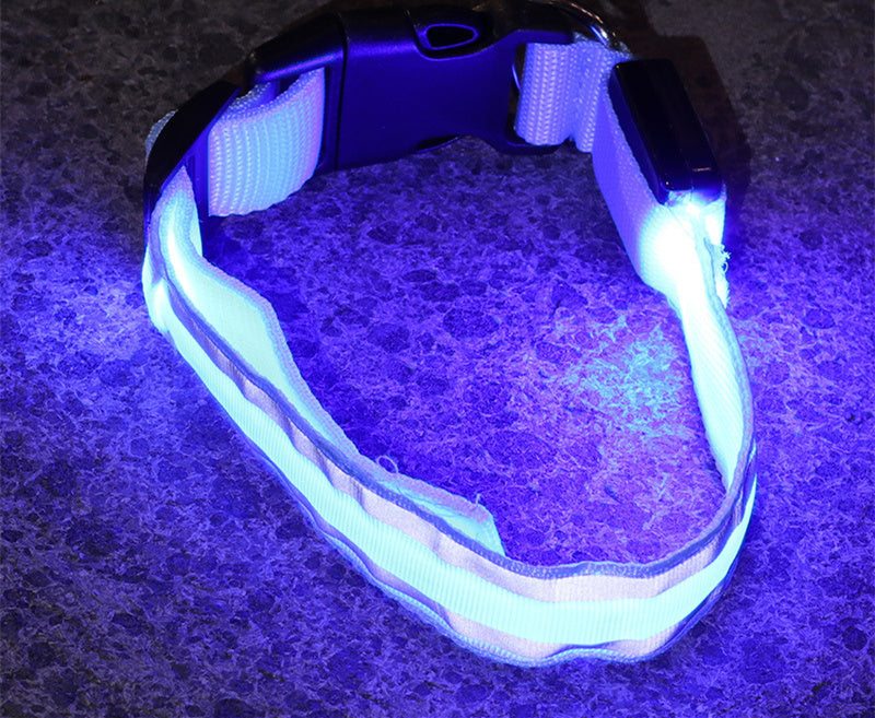 Anti-lost LED Luminous Collar - Top Shoppz