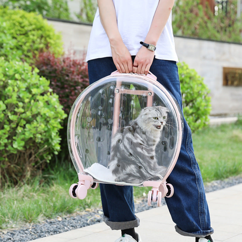 Portable Transparent Trolley Case - Top Shoppz