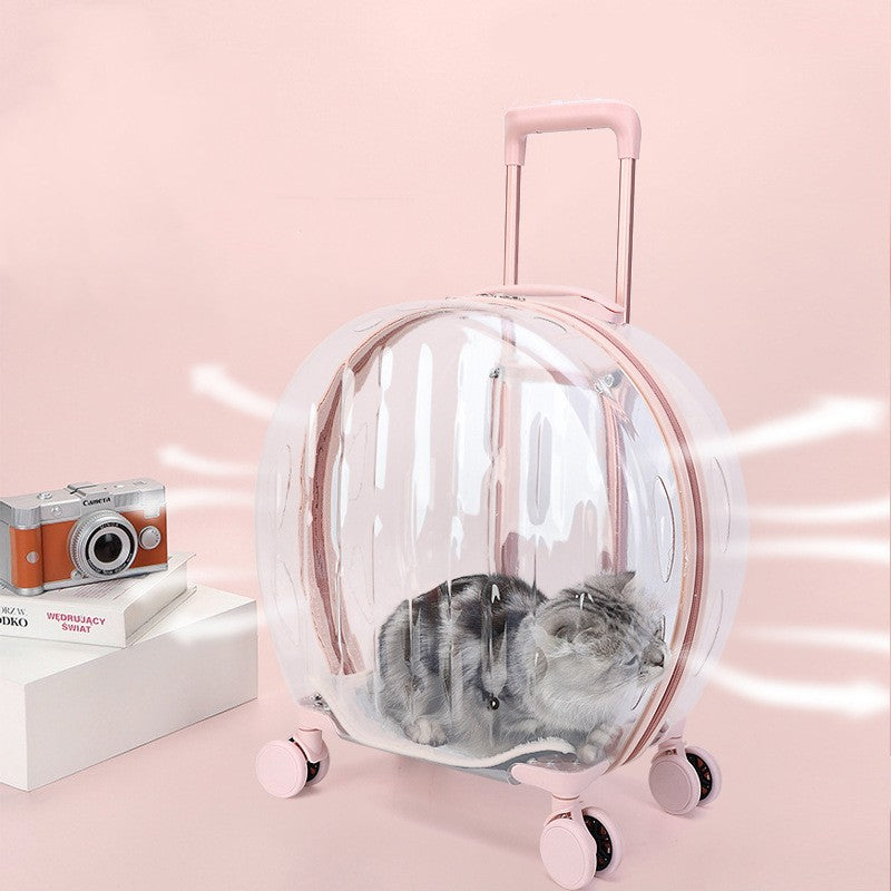 Portable Transparent Trolley Case - Top Shoppz