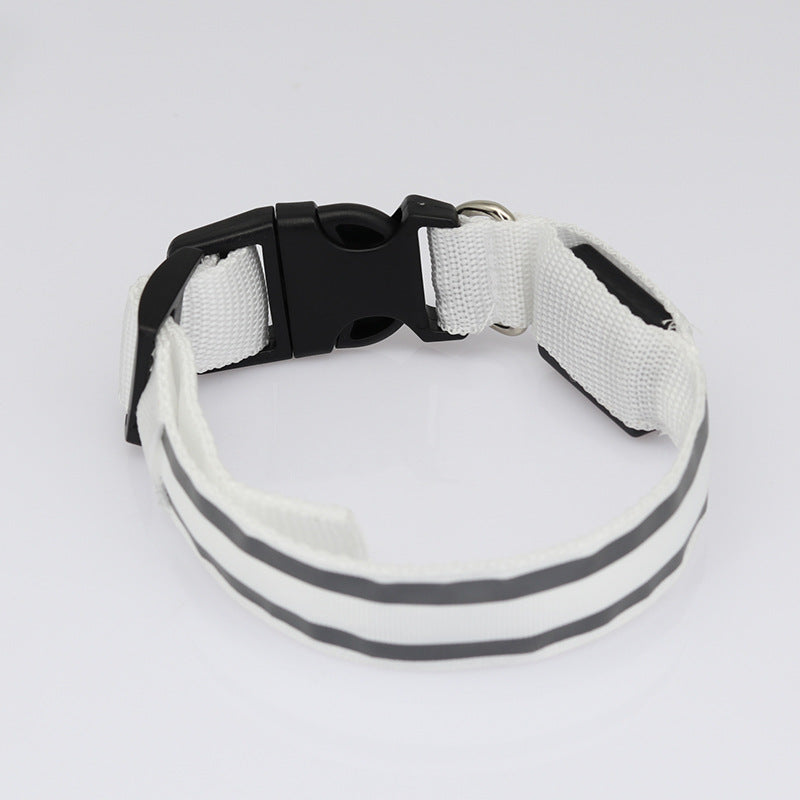 Anti-lost LED Luminous Collar - Top Shoppz