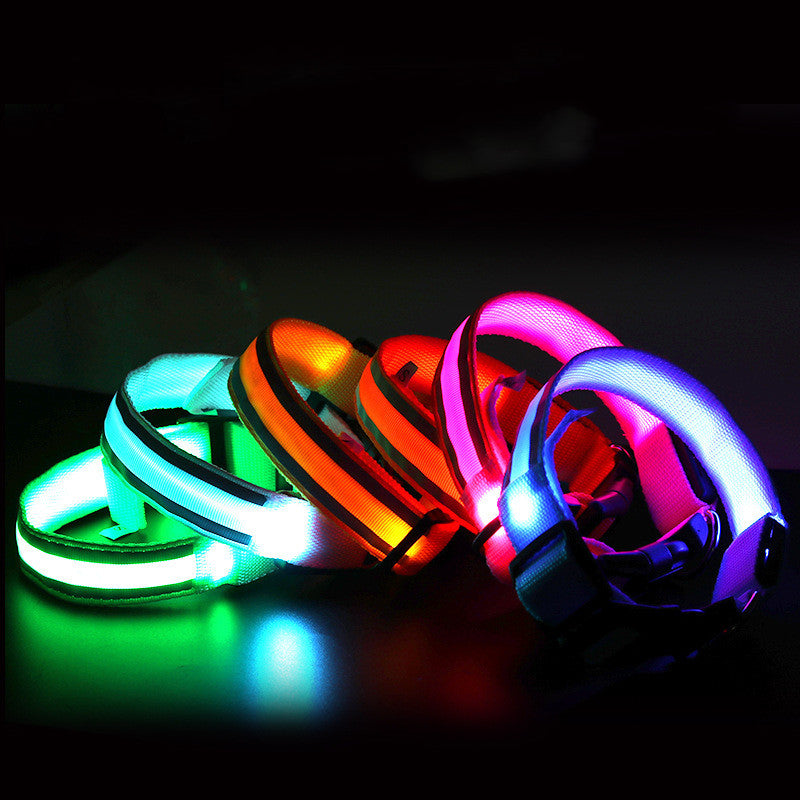 Anti-lost LED Luminous Collar - Top Shoppz