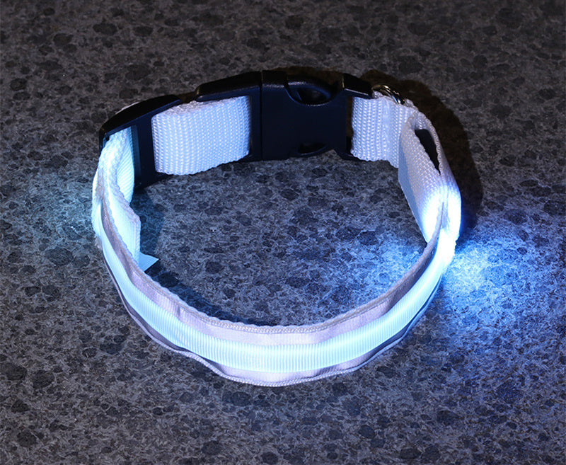 Anti-lost LED Luminous Collar - Top Shoppz